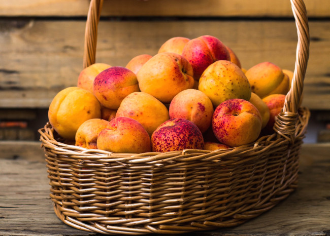 Обои картинки фото еда, персики,  сливы,  абрикосы, абрикосы