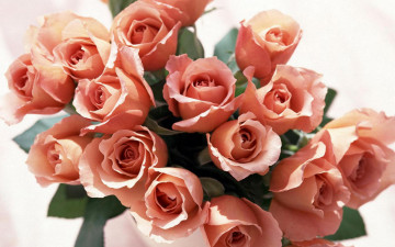 Картинка цветы розы букет розовые