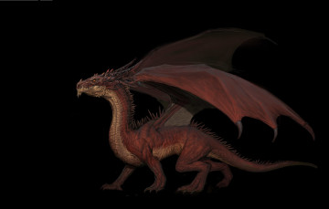 Картинка фэнтези драконы фентези дракон арт