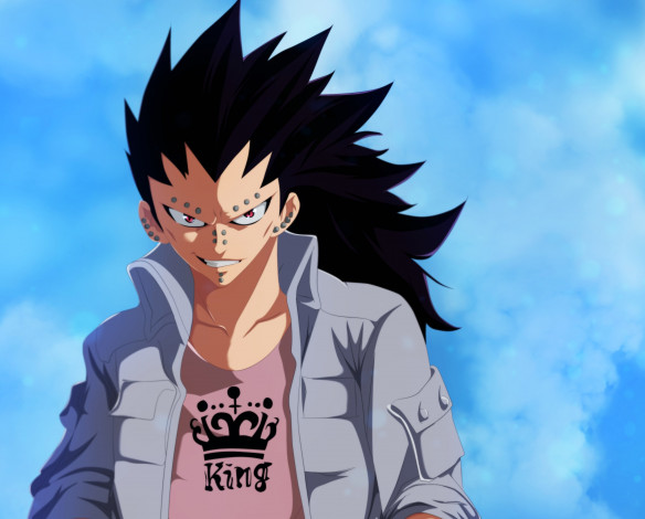 Обои картинки фото аниме, fairy tail, гаджил