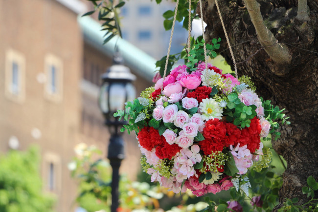 Обои картинки фото цветы, букеты,  композиции, гвоздики, композиция, розы, шар, гортензия