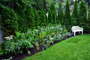 Картинка природа парк скамейка клумба лужайка