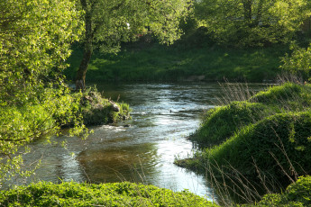Картинка природа реки озера вода река лето