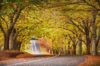 Картинка природа дороги простор