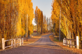 Картинка природа дороги простор