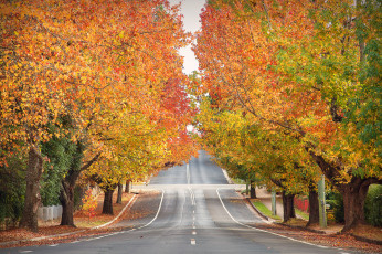 Картинка природа дороги простор