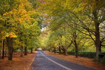 Картинка природа дороги простор