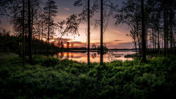 Картинка природа реки озера простор