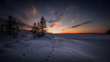 Картинка природа зима простор