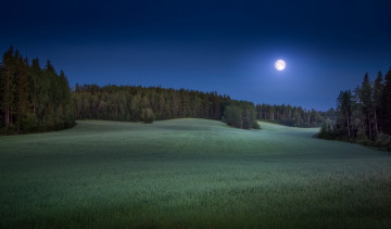 Картинка природа пейзажи простор