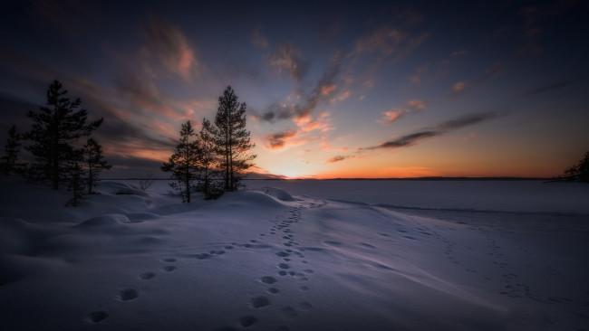 Обои картинки фото природа, зима, простор