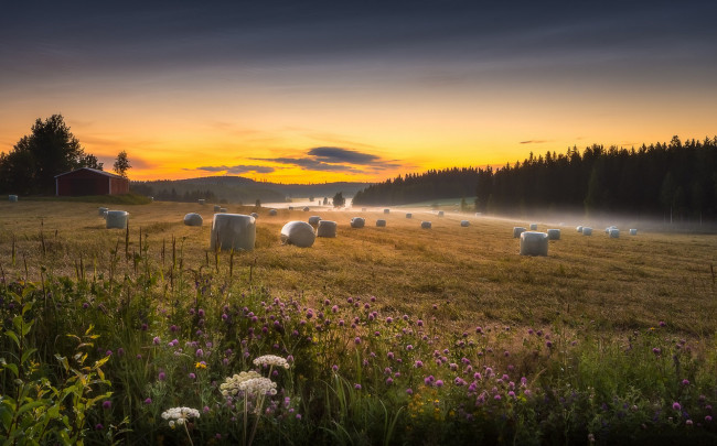 Обои картинки фото природа, поля, простор