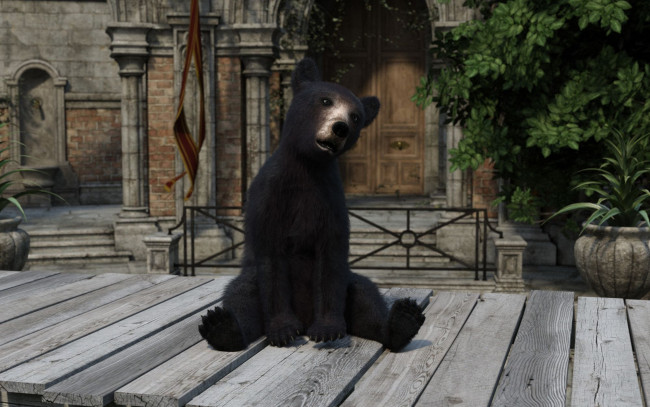 Обои картинки фото 3д графика, животные , animals, медвежонок, фон