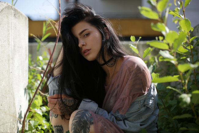 Обои картинки фото девушка, девушки, -unsort , брюнетки, темноволосые, модель