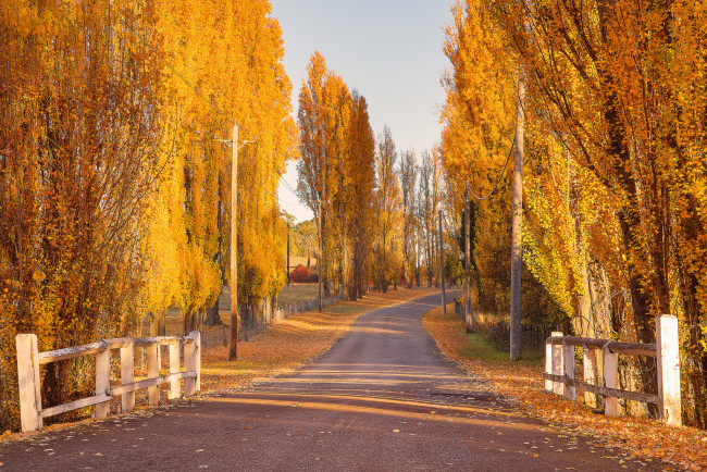 Обои картинки фото природа, дороги, простор