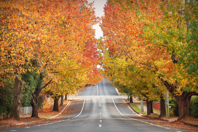 Обои картинки фото природа, дороги, простор