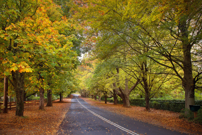 Обои картинки фото природа, дороги, простор