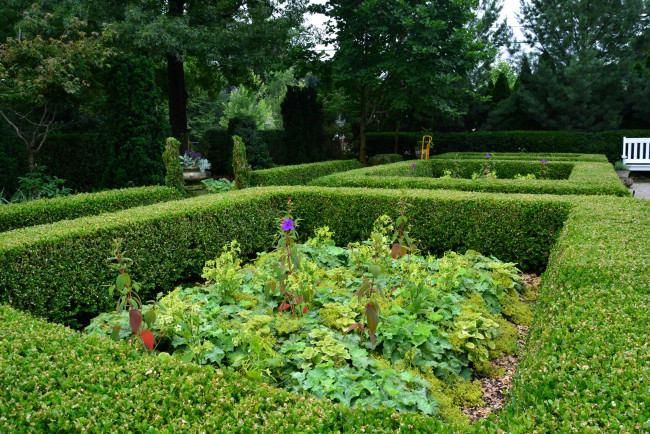 Обои картинки фото природа, парк, кусты