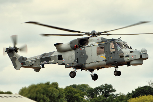 Обои картинки фото wildcat, авиация, вертолёты, вертушка