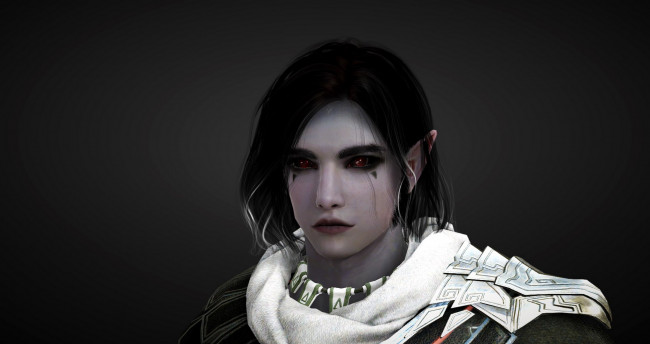 Обои картинки фото видео игры, black desert online, парень, эльф, лицо