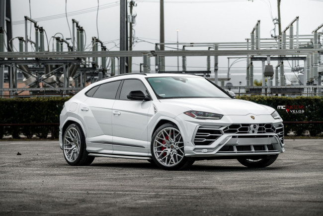 Обои картинки фото lamborghini urus, автомобили, lamborghini, urus, мощный, и, быстрый, бык, на, стероидах