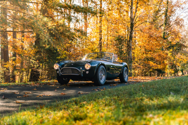 Обои картинки фото автомобили, ac cobra, shelby