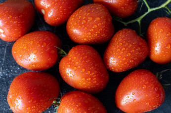 Картинка еда помидоры томаты