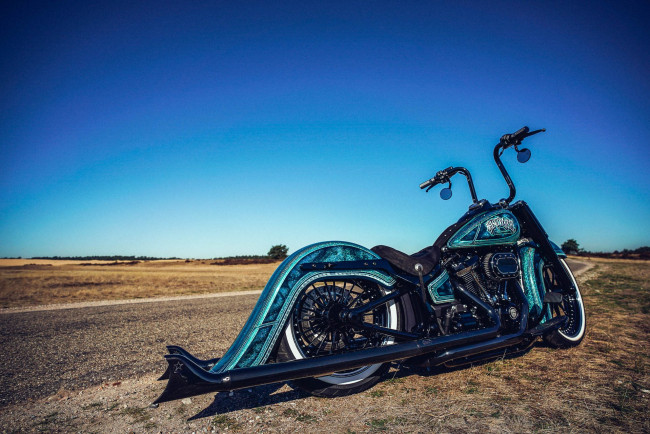 Обои картинки фото харлей, мотоциклы, harley-davidson, мотоцикл, байк, thunderbike, customs