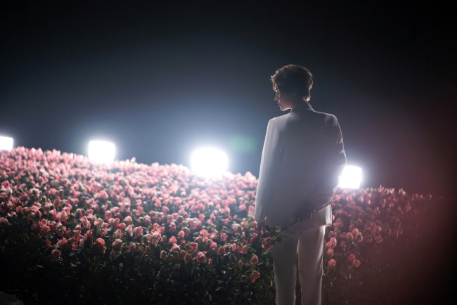 Обои картинки фото мужчины, hou ming hao, актер, свет, костюм, цветы, розы