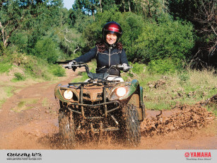 Картинка grizzly 125 мотоциклы квадроциклы