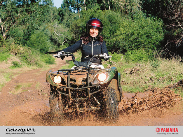 Обои картинки фото grizzly, 125, мотоциклы, квадроциклы