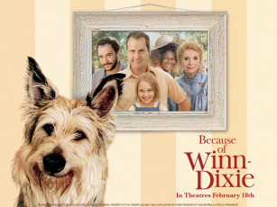 обоя because, of, winn, dixie, кино, фильмы