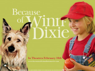 Картинка because of winn dixie кино фильмы