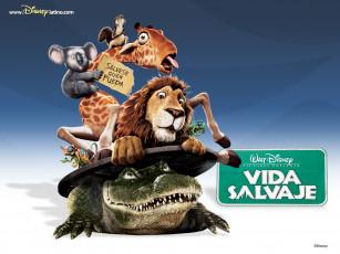 Картинка мультфильмы the wild