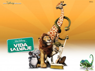 Картинка мультфильмы the wild