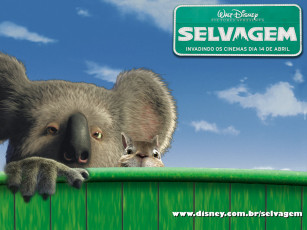 Картинка мультфильмы the wild