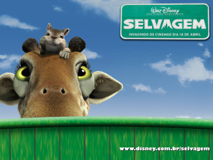 Картинка мультфильмы the wild