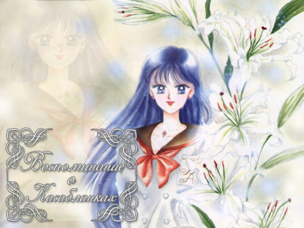 Обои картинки фото аниме, sailor, moon