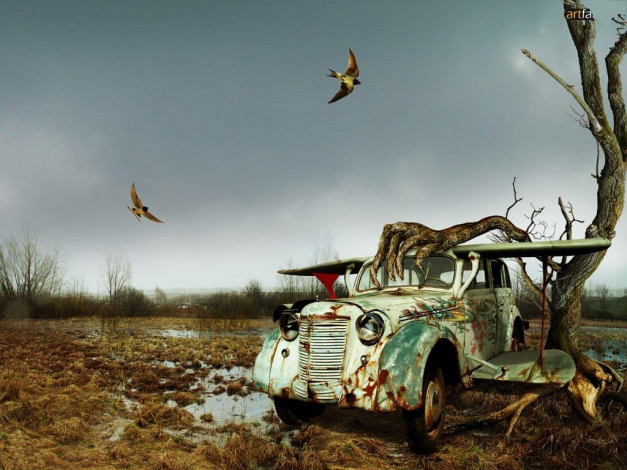 Обои картинки фото автомобили, 3д