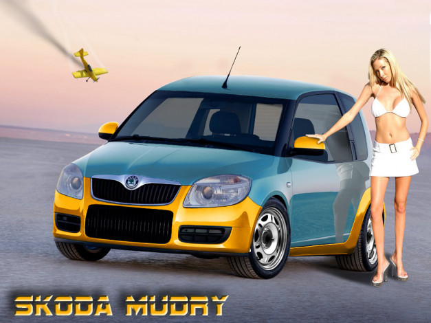 Обои картинки фото автомобили, авто, девушками