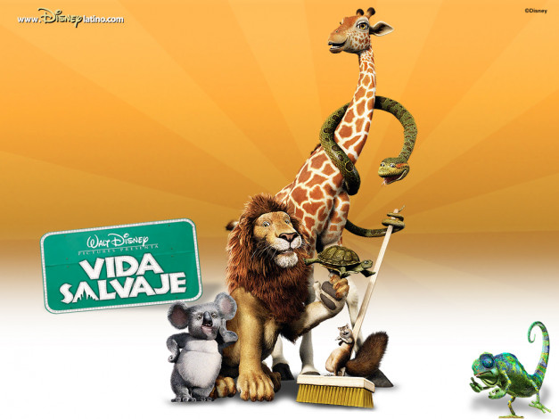 Обои картинки фото мультфильмы, the, wild