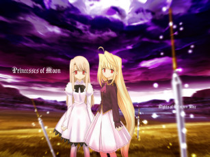 Картинка аниме tsukihime