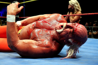 обоя мужчины, hulk, hogan, ринг