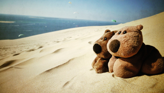 Обои картинки фото разное, игрушки, медвежата