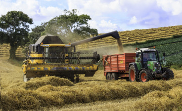 Картинка техника комбайны комбайн поле жатва трактро