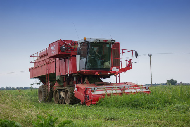 Обои картинки фото техника, комбайны, комбайн, поле