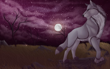 Картинка рисованное животные +собаки собака взгляд фон луна звезды