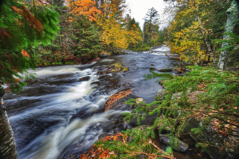 Картинка природа реки озера лес река