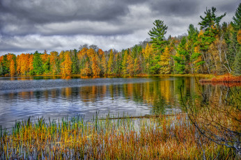 Картинка природа реки озера лес река