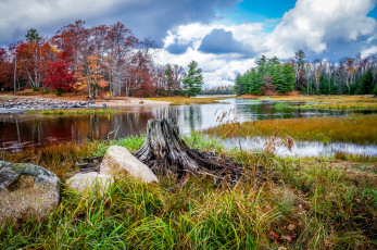 Картинка природа реки озера река лес